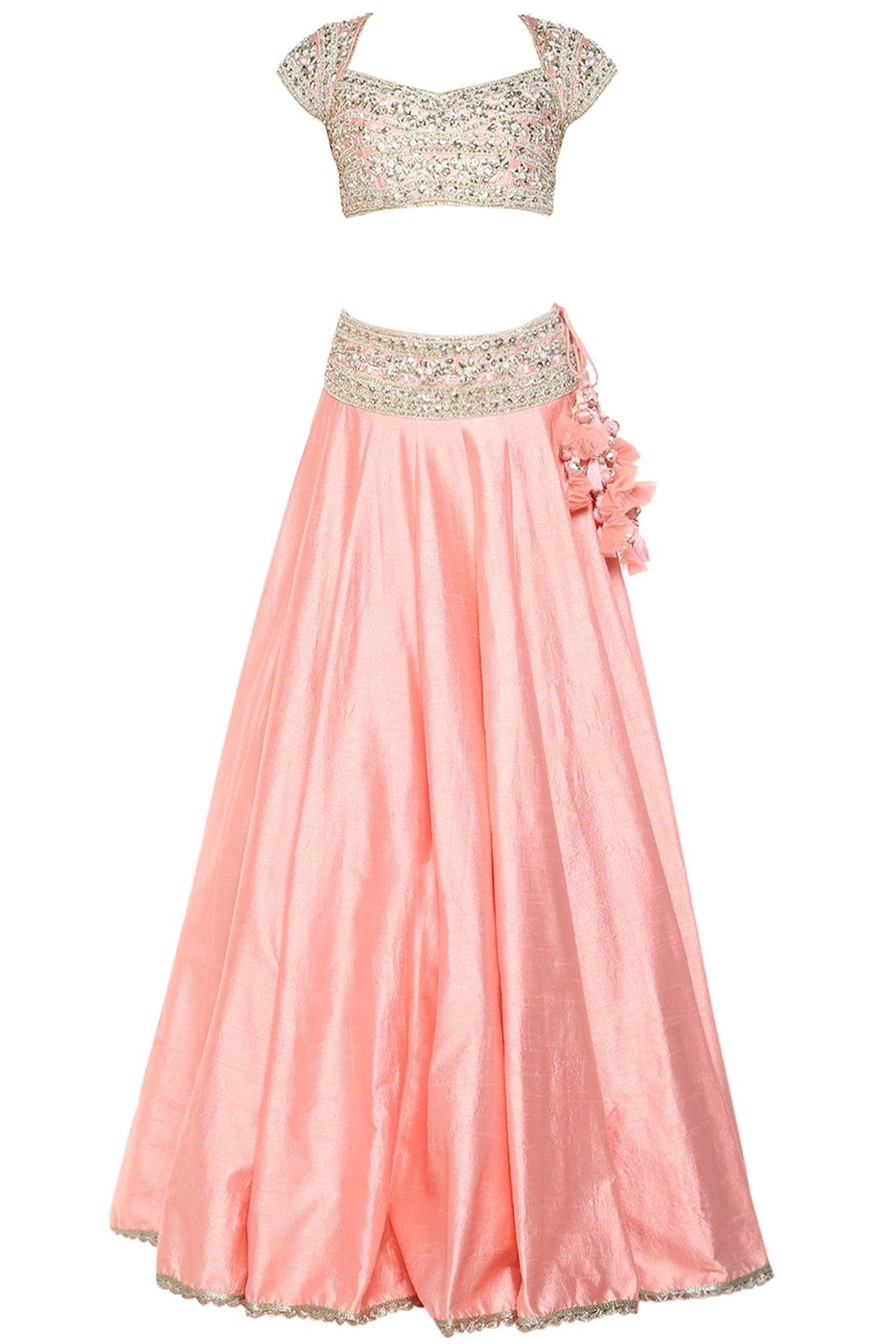 Blush Pink Handcrafted Embroidered Lehenga Set - Preeti s kapoor